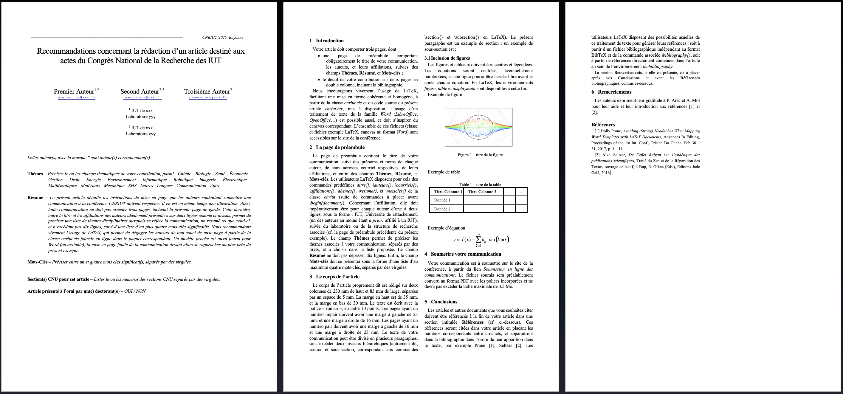 Modele-article-CNRIUT2025